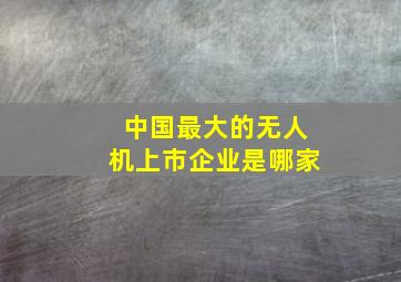 中国最大的无人机上市企业是哪家