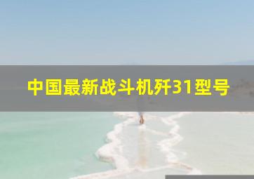 中国最新战斗机歼31型号