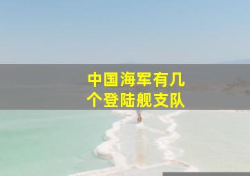 中国海军有几个登陆舰支队