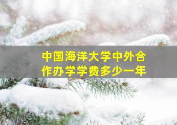 中国海洋大学中外合作办学学费多少一年