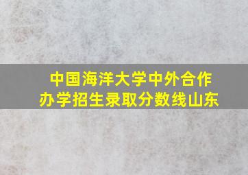 中国海洋大学中外合作办学招生录取分数线山东