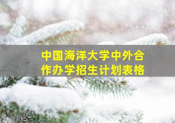 中国海洋大学中外合作办学招生计划表格