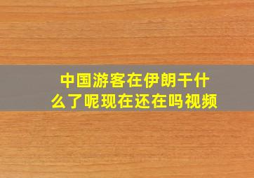 中国游客在伊朗干什么了呢现在还在吗视频