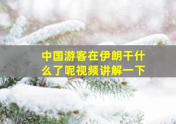 中国游客在伊朗干什么了呢视频讲解一下