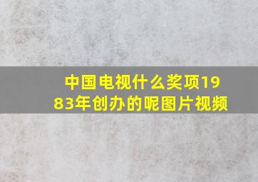 中国电视什么奖项1983年创办的呢图片视频