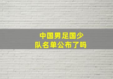 中国男足国少队名单公布了吗