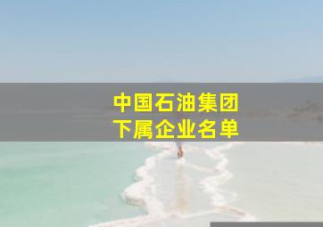 中国石油集团下属企业名单