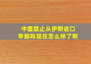 中国禁止从伊朗进口甲醇吗现在怎么样了啊