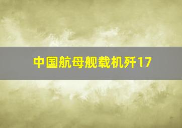 中国航母舰载机歼17