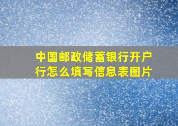 中国邮政储蓄银行开户行怎么填写信息表图片