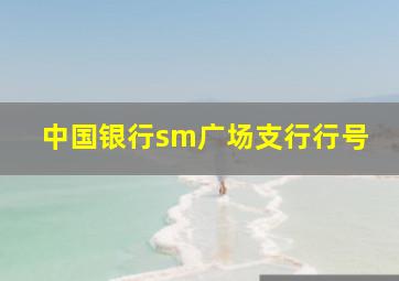 中国银行sm广场支行行号