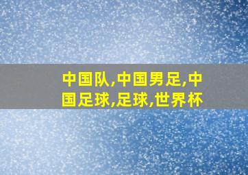 中国队,中国男足,中国足球,足球,世界杯