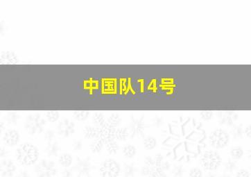 中国队14号