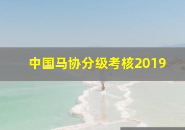 中国马协分级考核2019