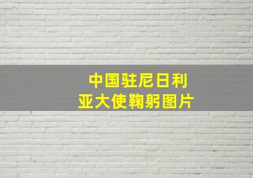 中国驻尼日利亚大使鞠躬图片