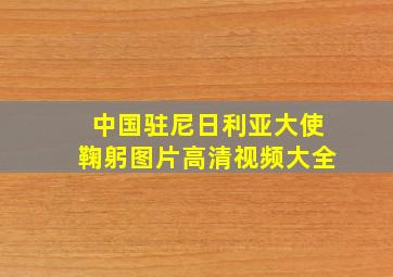 中国驻尼日利亚大使鞠躬图片高清视频大全