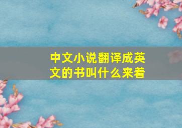 中文小说翻译成英文的书叫什么来着