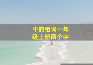 中的组词一年级上册两个字