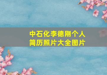 中石化李德刚个人简历照片大全图片