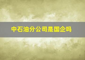 中石油分公司是国企吗