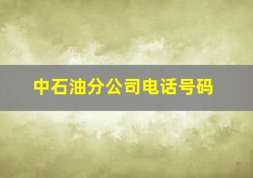 中石油分公司电话号码