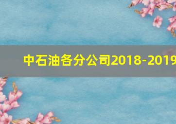 中石油各分公司2018-2019