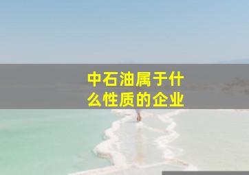 中石油属于什么性质的企业