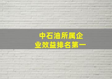 中石油所属企业效益排名第一