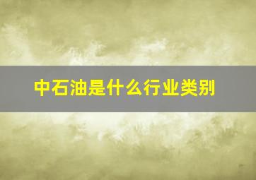 中石油是什么行业类别