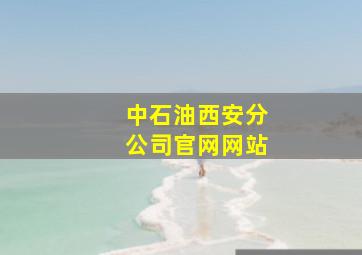 中石油西安分公司官网网站