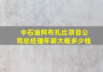 中石油阿布扎比项目公司总经理年薪大概多少钱