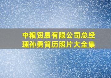 中粮贸易有限公司总经理孙勇简历照片大全集