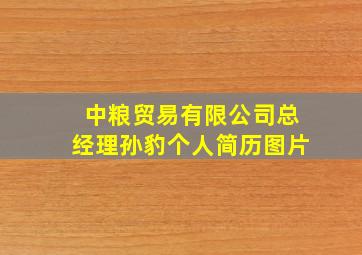 中粮贸易有限公司总经理孙豹个人简历图片