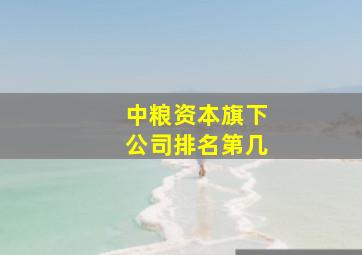 中粮资本旗下公司排名第几