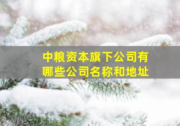 中粮资本旗下公司有哪些公司名称和地址