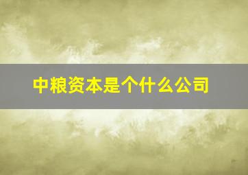 中粮资本是个什么公司