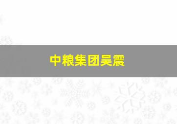 中粮集团吴震