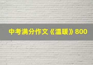 中考满分作文《温暖》800