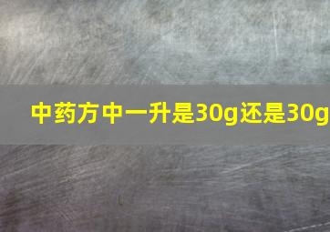 中药方中一升是30g还是30g