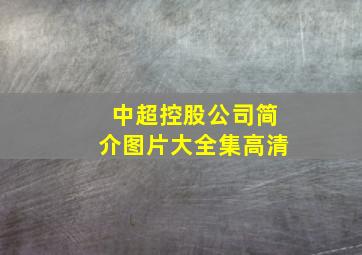 中超控股公司简介图片大全集高清