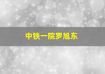 中铁一院罗旭东