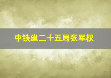 中铁建二十五局张军权