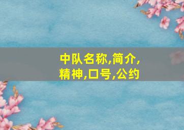 中队名称,简介,精神,口号,公约