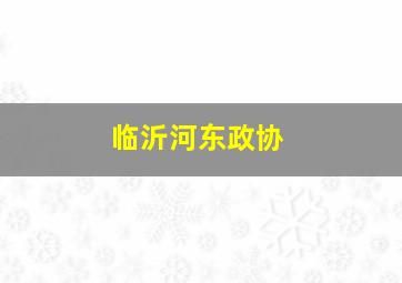 临沂河东政协