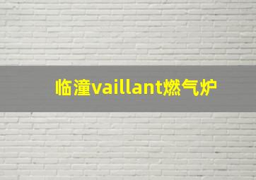 临潼vaillant燃气炉