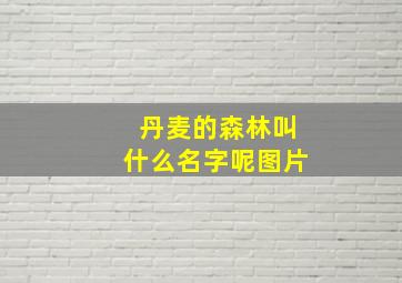 丹麦的森林叫什么名字呢图片