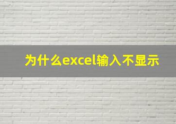 为什么excel输入不显示