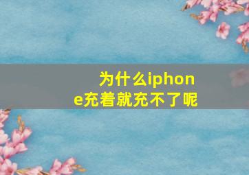 为什么iphone充着就充不了呢