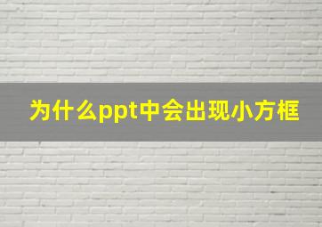 为什么ppt中会出现小方框