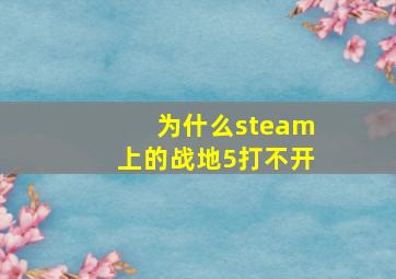 为什么steam上的战地5打不开